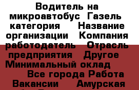 Водитель на микроавтобус "Газель" категория D › Название организации ­ Компания-работодатель › Отрасль предприятия ­ Другое › Минимальный оклад ­ 25 000 - Все города Работа » Вакансии   . Амурская обл.,Благовещенск г.